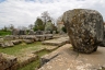 The temple of Athena Alea
